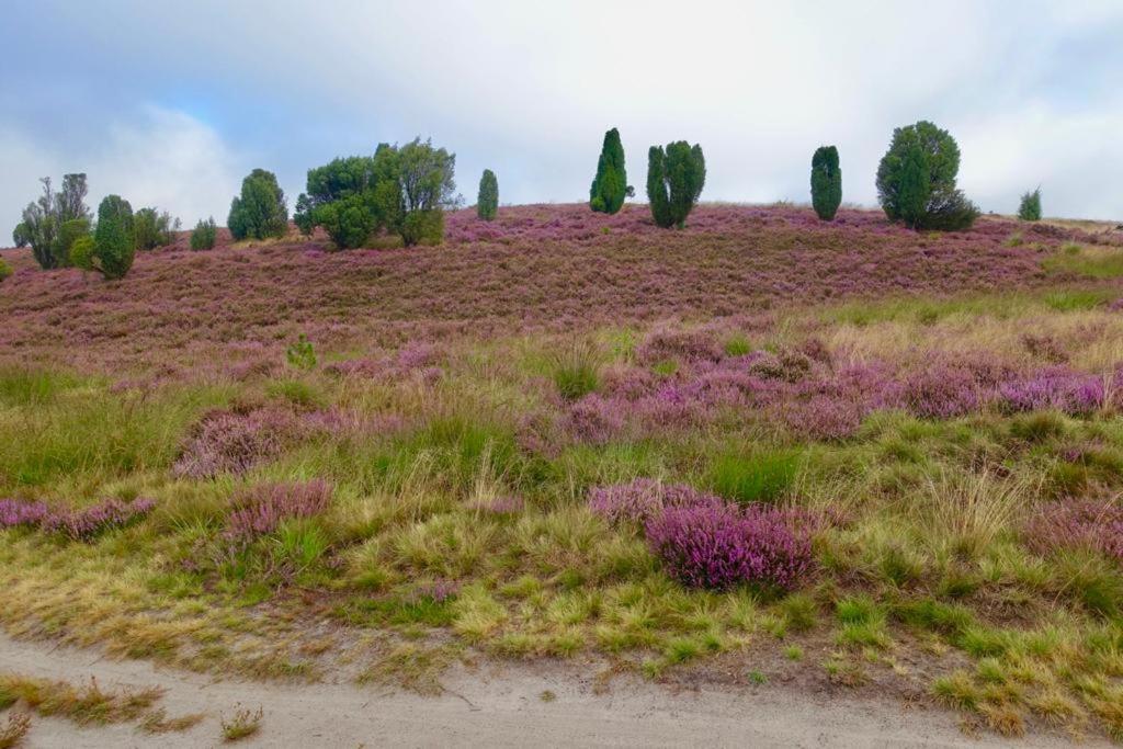 Minna Von Fintel Schneverdingen Exteriér fotografie